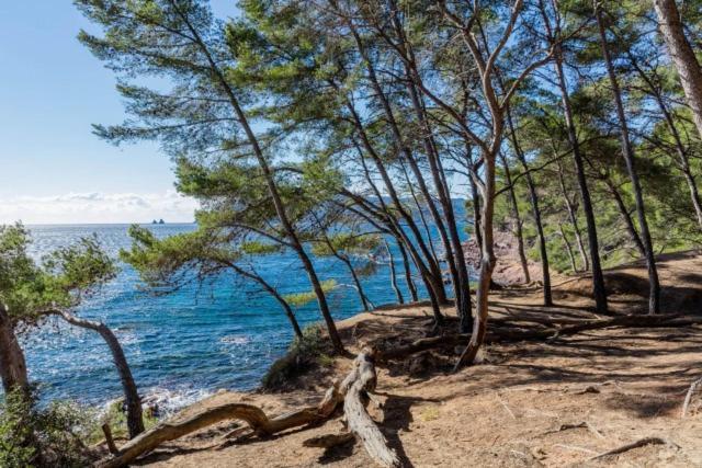 Studio Climatise Avec Jardin Et Plage A 250M Saint-Mandrier-sur-Mer Eksteriør bilde