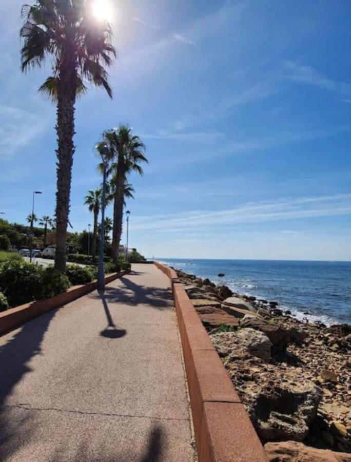 Studio Climatise Avec Jardin Et Plage A 250M Saint-Mandrier-sur-Mer Eksteriør bilde