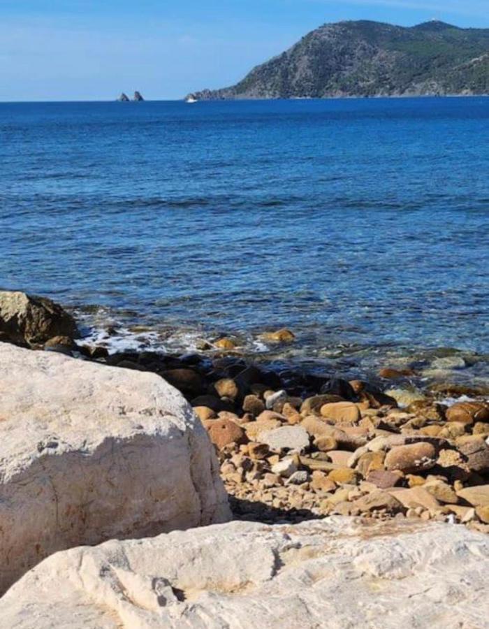 Studio Climatise Avec Jardin Et Plage A 250M Saint-Mandrier-sur-Mer Eksteriør bilde